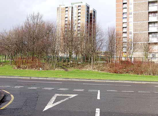 Hawes Street, 2002