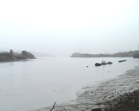 Derwenthaugh Marina and Elswick shore
