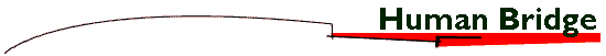 Human Bridge